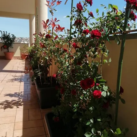 B&byanet's Beautiful House לינה וארוחת בוקר