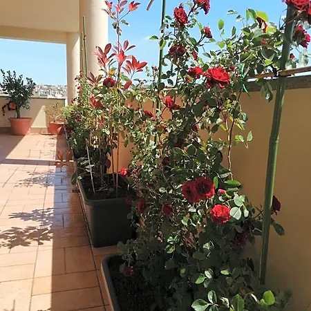 Bed & Breakfast B&byanet's Beautiful House Civitavecchia